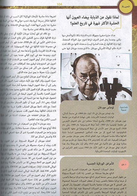 100,000 Li-Madha : al-Hayaa - 100,000 لماذا - الحياة (image 3)