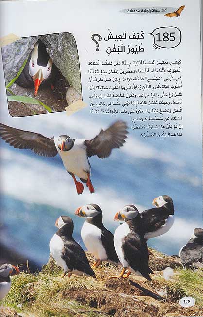 365 S'ualan wa Ijabat Mud'hishah ‎365 سؤالا واجابة مدهشة‎ (image 5)