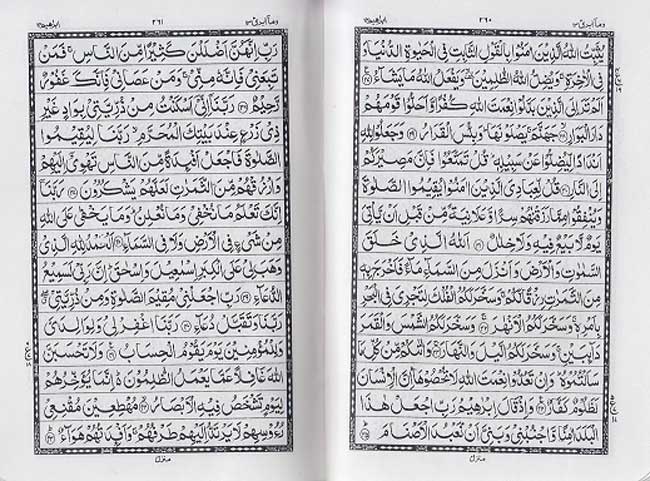 Qur'an Majeed No. 347, Hafizi, Gold Case, Zipper (10x14cm - 4x6in) (image 2)