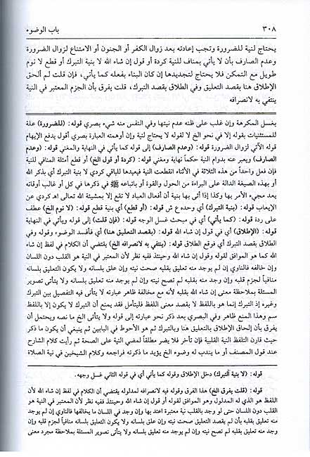 Hawashi Shirwani wa-Ibn Qasim 'ala Tuhfat al-Muhtaj (13 vol) حواشي الشرواني وابن قاسم على تحفة المحتاج (image 3)