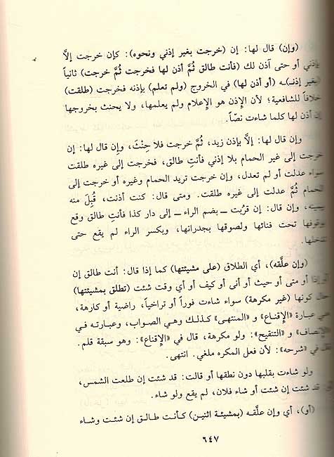 Kashful al-Mukhadarat كشف المخدرات والرياض المزهرات : لشرح أخصر المختصرات (image 2)