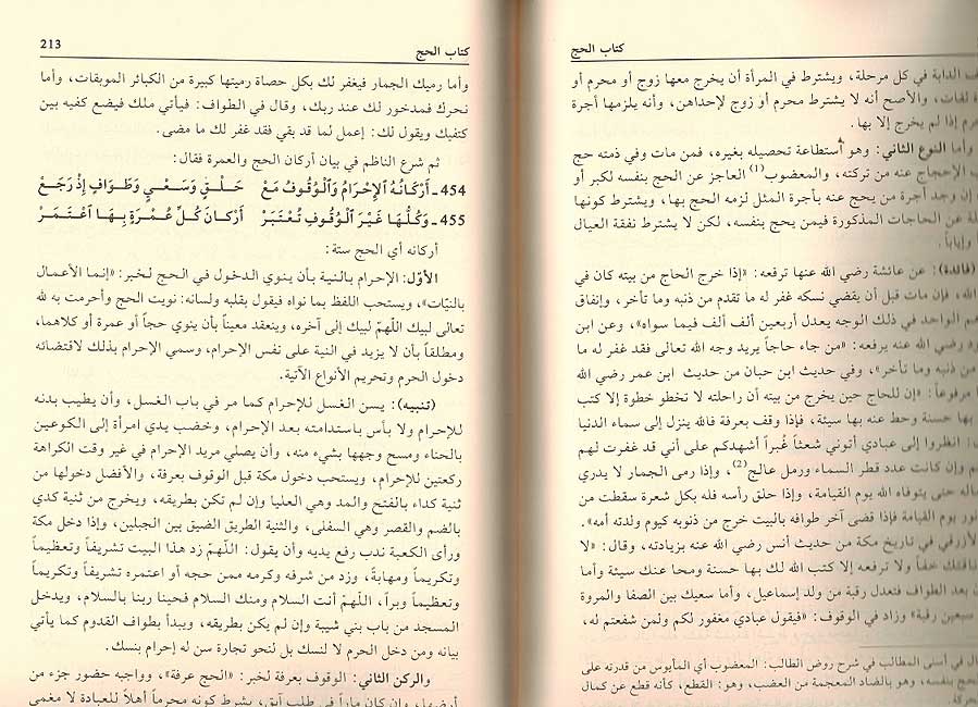 Tuhfat al-Habib : Sharh Nazum al-Amriti تحفة الحبيب : شرح نظم غاية التقريب (image 2)
