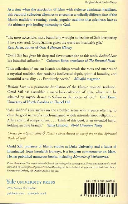 Radical Love: Teachings from the Islamic Mystical Tradition (image 2)