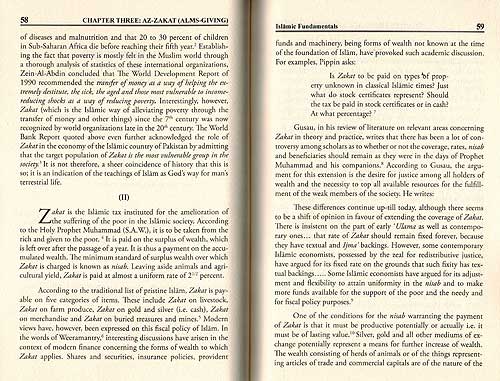 Islamic Fundamentals in the Modern World (image 2)