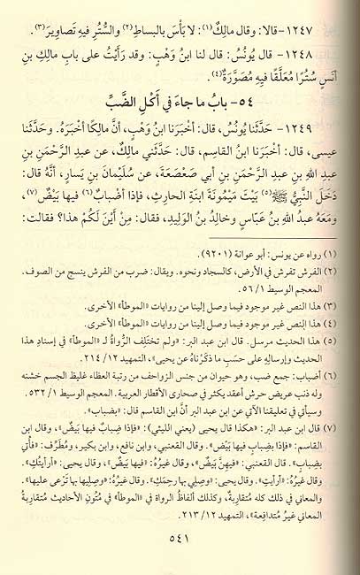 Muwatta Imam Malik: Riwayah Ibn Wahb (1 vol Gharb) موطأ الإمام مالك : رواية بن وهب (image 2)