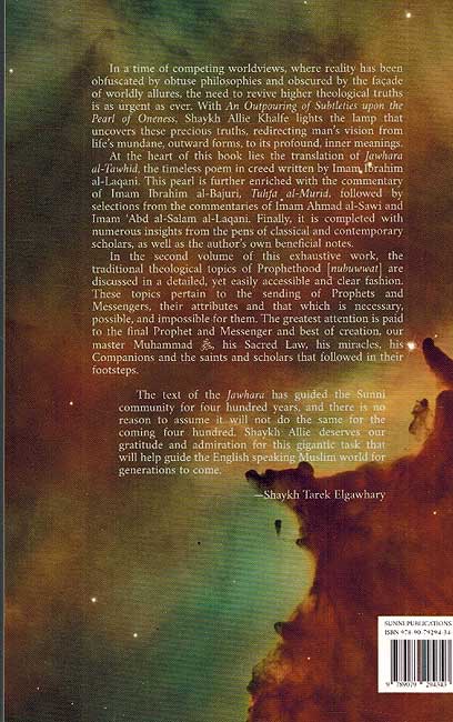 An Outpouring of Subtleties V2 (image 2)