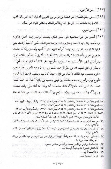 Mustaqsa' fil Amthal (2 vol.) المستقصى في الأمثال (image 2)