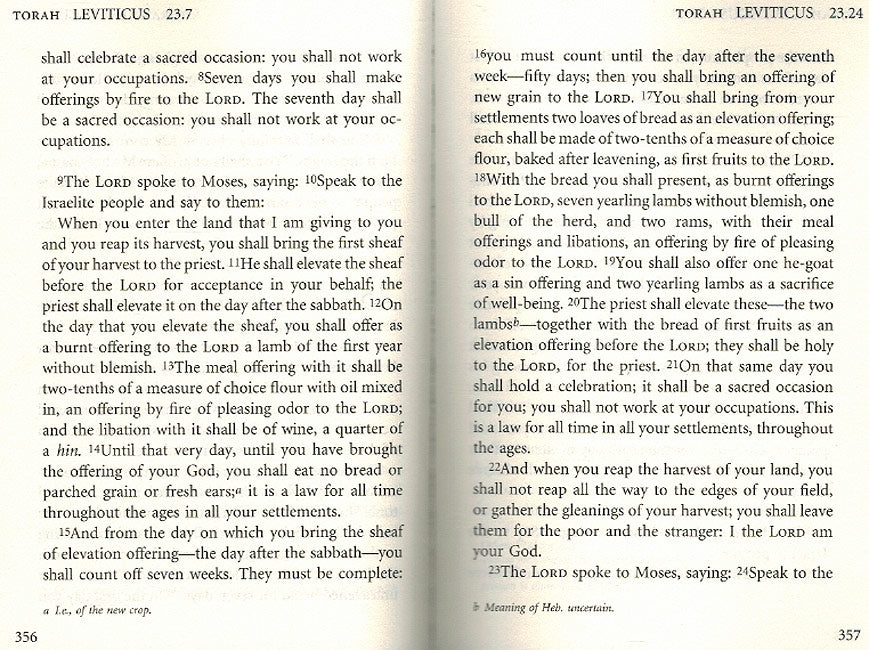 The Torah: The Five Books of Moses (Palm size) (image 2)