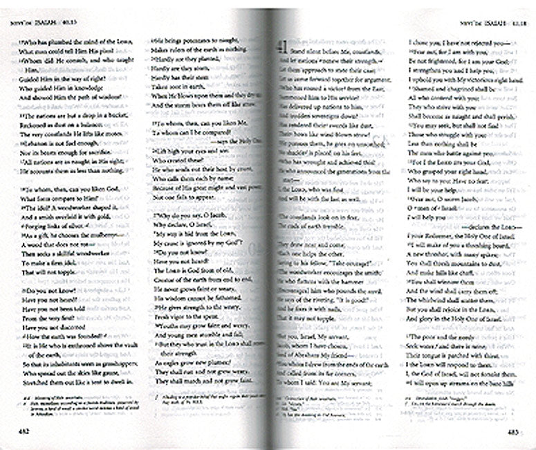 The JPS Bible (Palm Size) (image 2)