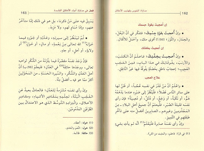 Mudawat Nufus wa-Tahdhib Akhlaq مداواة النفوس وتهذيب الأخلاق (image 2)
