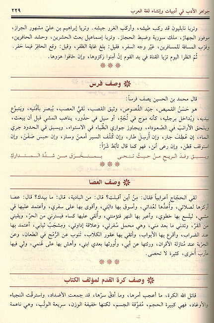 Jawahir al-Adab: fi Adabiyat wa-Insha Lughat al-Arab (Hazm) جواهر الأدب في أدبيات وإنشاء لغة العرب (image 2)