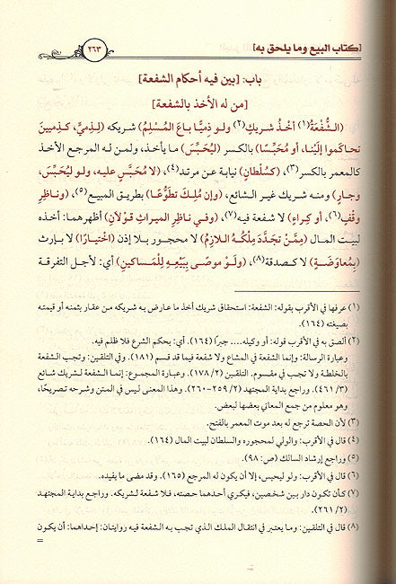 Badr al-Munir fi Idaai Iklil Al-Amir Ala Matn Khalil (2 vol.) البدر المنير في إضاءة إكليل الأمير على متن الخليل (image 2)