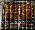 Mughni al-Muhtaj ila Ma'rifat Ma'ani Alfaz al-Minhaj (8 Vol) مغني المحتاج إلى معرفة معاني ألفاظ المنهاج