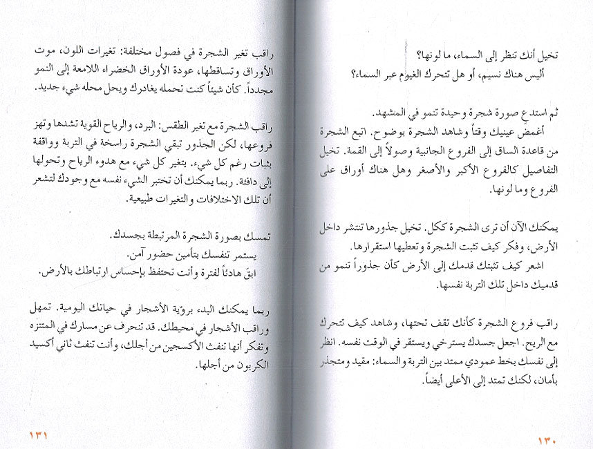 Fan al-Hudu فن الهدوء (image 2)