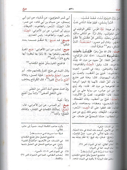 Mu'jam Tahdhib al-Lugha ( 4 vol) معجم تهذيب اللغة (image 2)