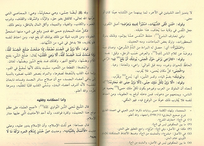 Umdat al-Talibin fi Sharh al-Ahadith al-Arba'in Iman Nawawi عمدة الطالبين في شرح الأحاديث الأربعين الإمام النووي (image 3)