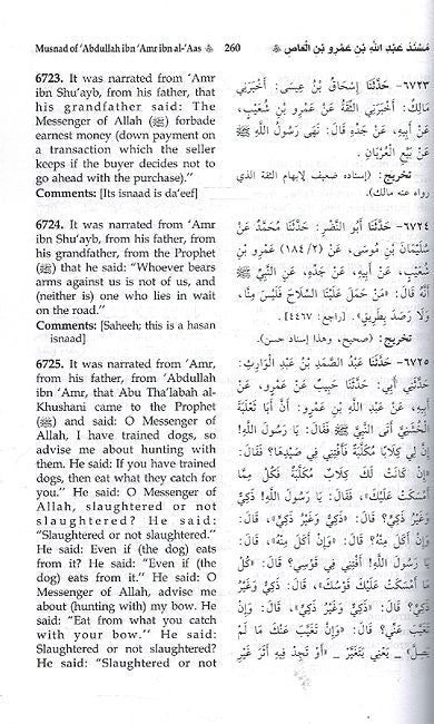 Musnad Imam Ahmad Bin Hanbal (En-Ar - Vol 5 only - No. 6031 to 7624) (image 2)