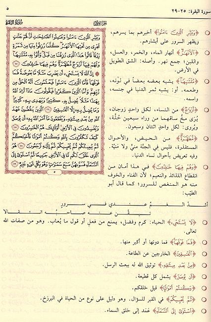 Wajah al-Nahar al-Kashif 'an Ma'ani Kalam al-Wahid al-Qaharوجه النهار الكاشف عن معاني كلام الواحد القهار (image 3)