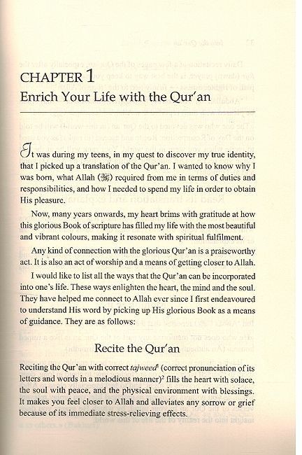 Into the Qur'an: Let It Enrich Your Soul and Your Life (image 3)