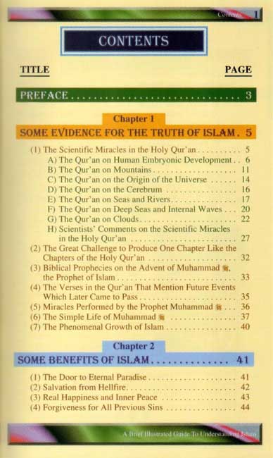 A Brief Illustrated Guide to Understanding Islam (image 2)