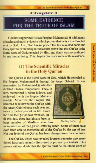 A Brief Illustrated Guide to Understanding Islam (image 4)