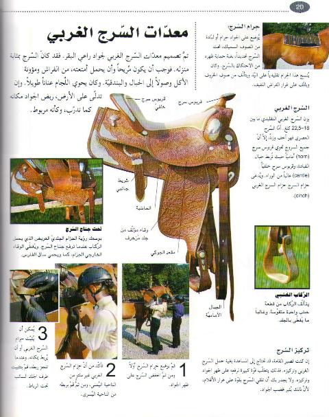 Activity: Duros al-Furusiyah al-Uwla دروس الفروسية الأولى (image 3)
