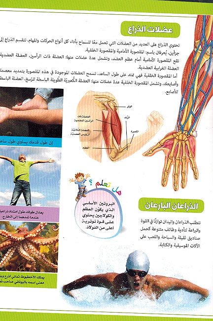 Mawsu'at Jism al-Insan: 'Aeda' Jism al-Insan موسوعة جسم الإنسان: أعضاء جسم الإنسان (image 3)