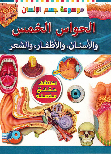 Mawsu'at Jism al-Insan: Al-Hawasu al-Khams, wa-al-'Asnan, wa-al-'Azafir, wa-al-Shier موسوعة جسم الإنسان: الحواس الخمس, والأسنان, والأظفار, والشعر
