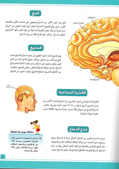 Mawsu'at Jism al-Insan: Al-Jihaz al-'Asabi wa-al-Jihaz al-Mana'i, wa-al-Ghudad موسوعة جسم الإنسان: الجهاز العصبي والجهاز المناعي, والغدد (image 3)