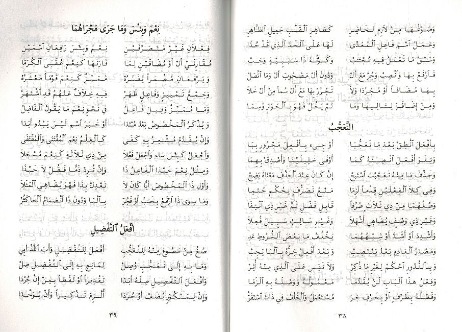 Alfiyah Ibn Malik Fi al-Nahu Wa al-Sarf ألفية ابن مالك في النحو والصرف (image 2)