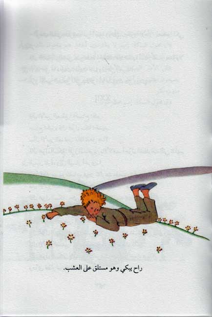 Amir al-Saghir الامير الصغير (image 3)