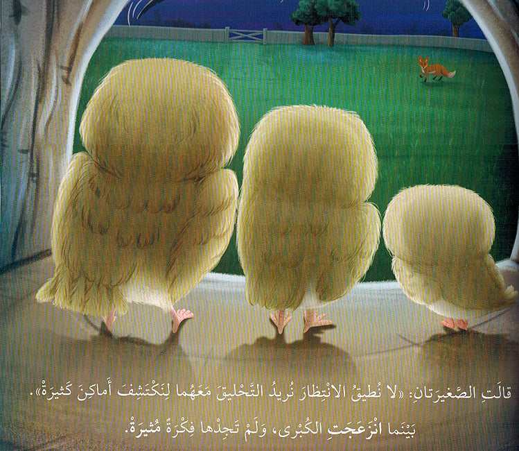 Ana wa Mashairi: Hin Takhaf al-Buma انا و مشاعري حين تخاف البومة (image 3)