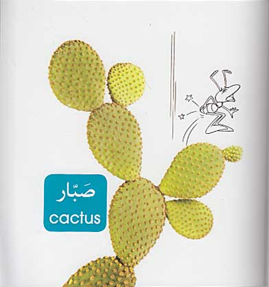 Ant's Picture Dictionary: Nature (En-Ar) al-Tabi'ah الطبيعة (image 4)