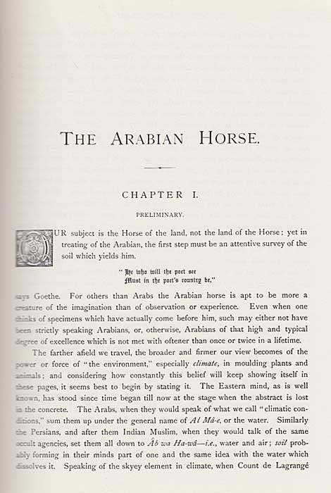 Arabian Horse: His Country and People (HC Classic Reprint, English) (image 4)