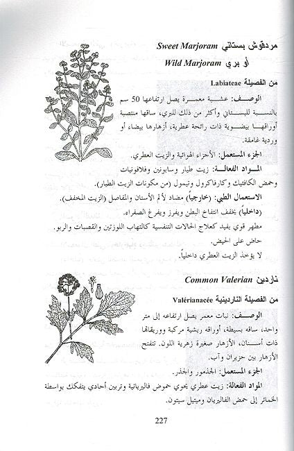 Ashab Jamal wa Siha الأعشاب جمال وصحة (image 3)