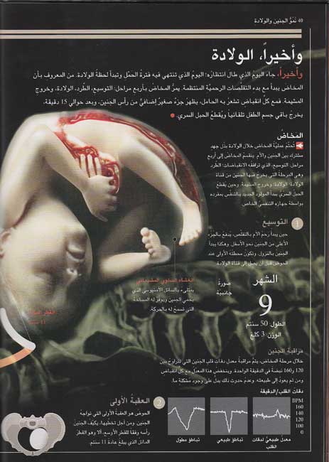 Atlas al-'Ulum al-Shamal: Jism al-Insan II جسم الانسان 2 (image 3)