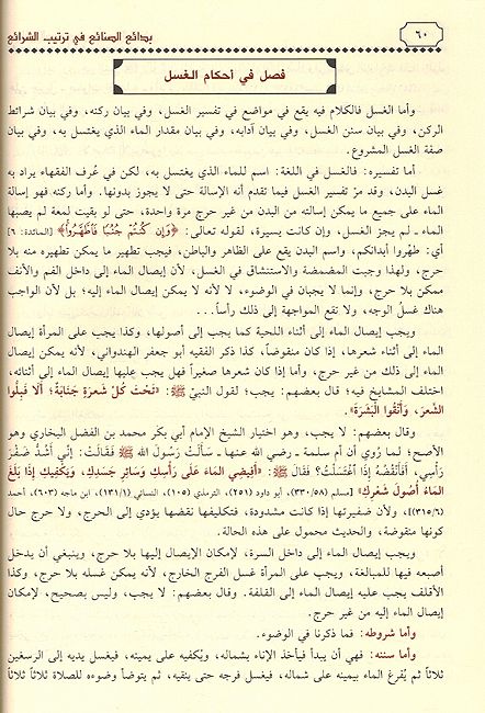 Bada'i al-Sana'i fi Tartib al-Shara'i (6 vol) بدائع الصنائع في ترتيب الشرائع (image 2)