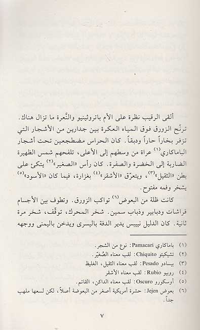 Bait al-Akhdar البيت الأخضر (image 3)