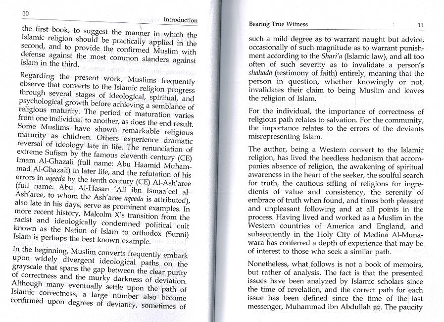 Bearing True Witness (or, «Now That I Have Found Islam, What Do I Do With it ?») (image 3)