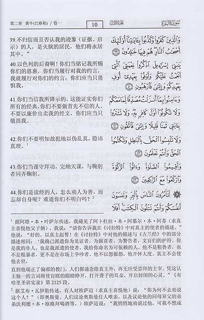 Qur'an Arabic-Chinese 中文译解 古兰经 (image 3)