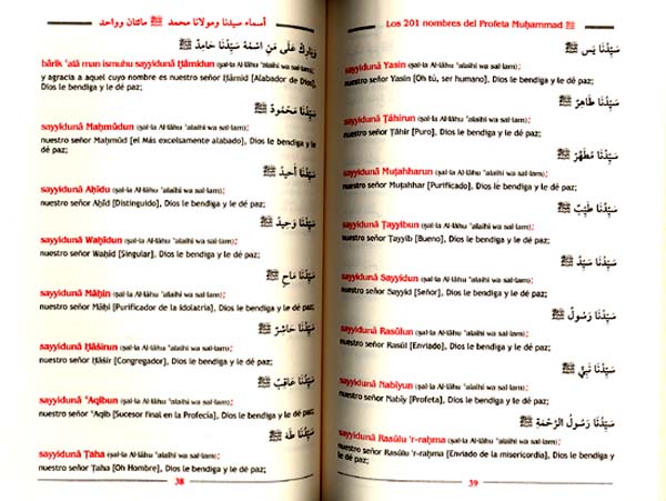 Dala'il al-Jairat (image 2)
