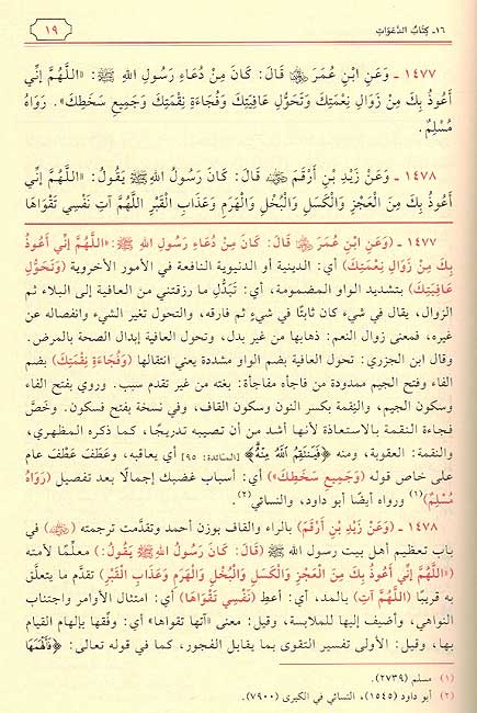 Dalil al-Falihin Sharh Riyad al-Salihin (5 Vol) دليل الفالحين شرح رياض الصالحين (image 3)