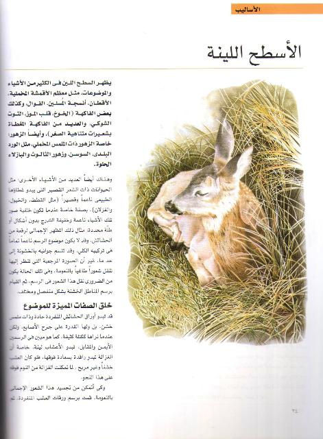Dalil al-Kamil li-al-Rasm bi-Aqlam al-Rasas al-Mulawanah الدليل الكامل للرسم بأقلام الرصاص الملونة (image 3)