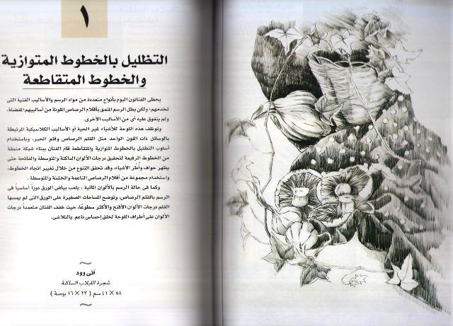 Dalil al-Mubtadiin fi Fan al-Rasm دليل المبتدئين في فن الرسم (image 3)