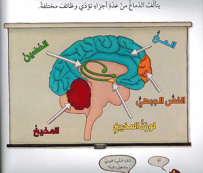 Dimagh 'Ajib wa-Murin Mahadah wa-Turah دماغ عجيب ومرن محدة وطورة (image 3)