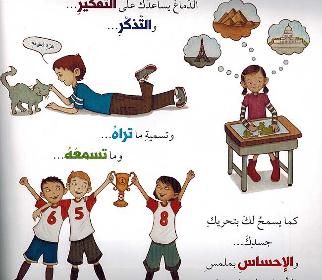 Dimagh 'Ajib wa-Murin Mahadah wa-Turah دماغ عجيب ومرن محدة وطورة (image 4)