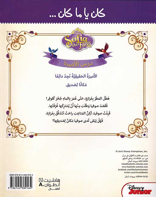 Disney: Sofia the First كان يا ما كان... ضيفُ في الغرفة (image 2)