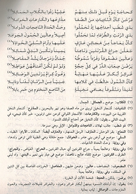 Diwan Labid bin Rabia al-Amiri (Dar Arqam) ديوان لبنيد بن ربعيترالعامري (image 3)