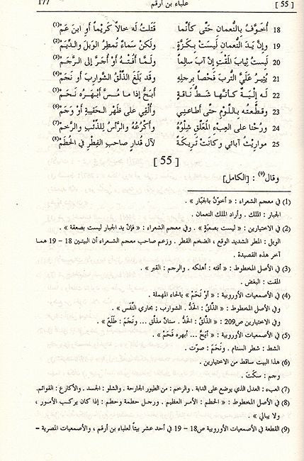 Diwan al-Asma'iyat (Dar Sader) ديوان الاصمعيات (image 2)