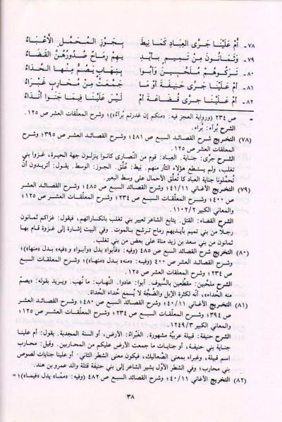 Diwan al-Harith ibn Hillizah (DKI) ديـوان الـحـارث بن حـلـّزة (image 2)